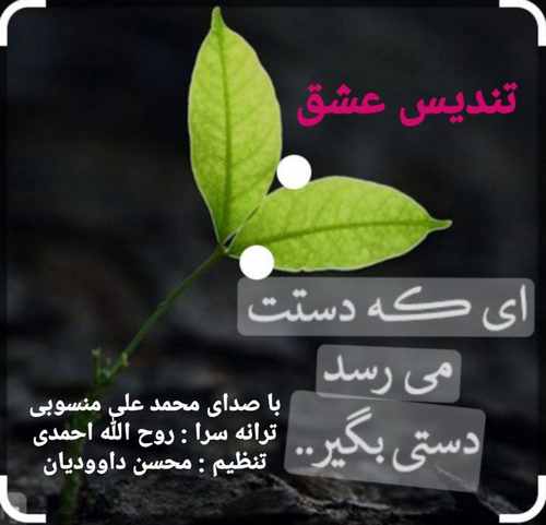 محمد علی منسوبی تندیس عشق